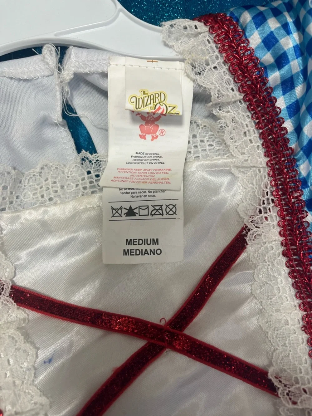 Rubie's Blue Gingham Princess Wizard of Oz Dress with Red Trim